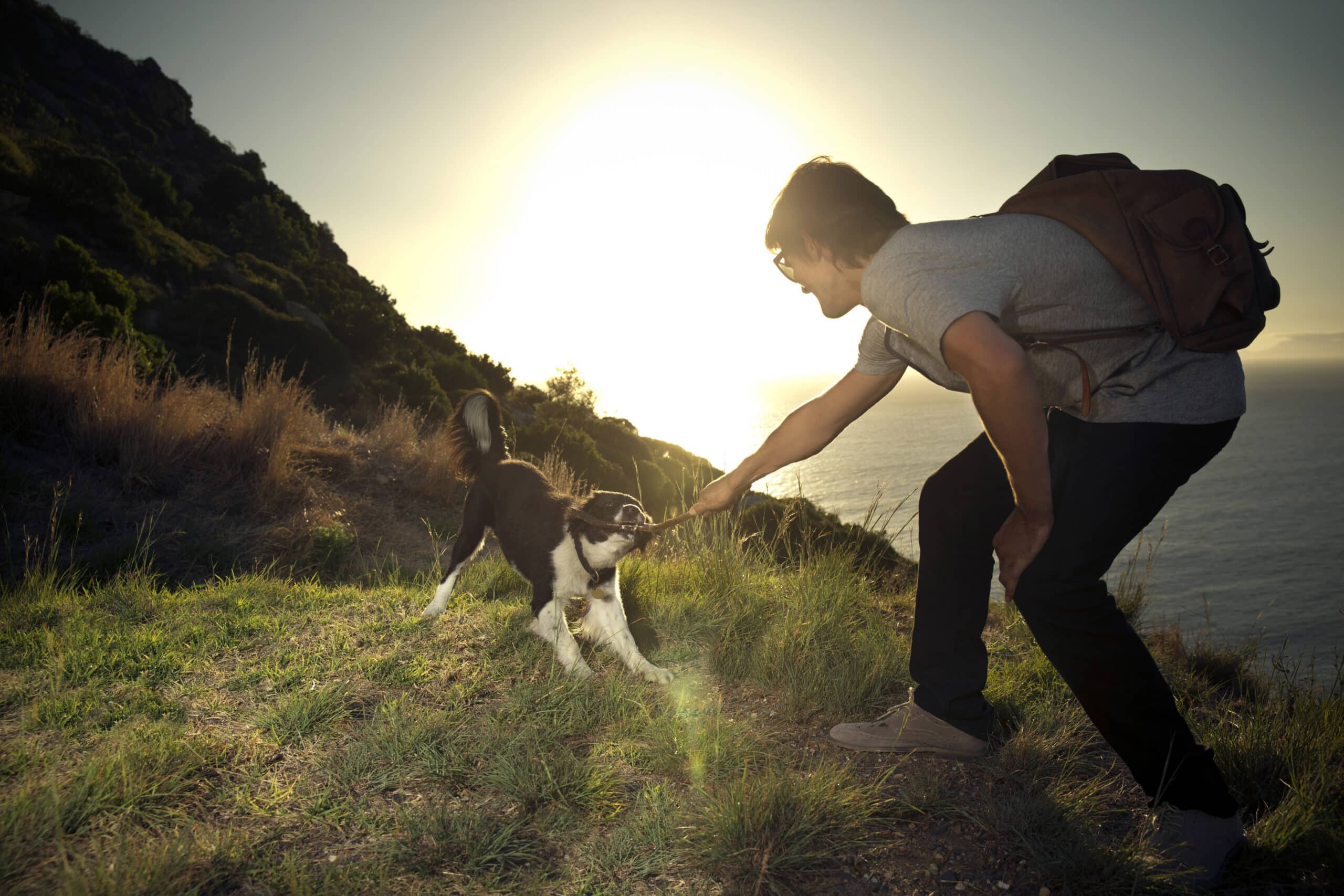 Eine Person mit Rucksack spielt bei Sonnenuntergang Tauziehen mit einem schwarz-weißen Hund auf einem grasbewachsenen Hügel. Im Hintergrund sind das Meer und eine baumbewachsene Klippe zu sehen. Die Sonne steht tief am Himmel und wirft einen warmen Schein auf die Szene. © Fotografie Tomas Rodriguez