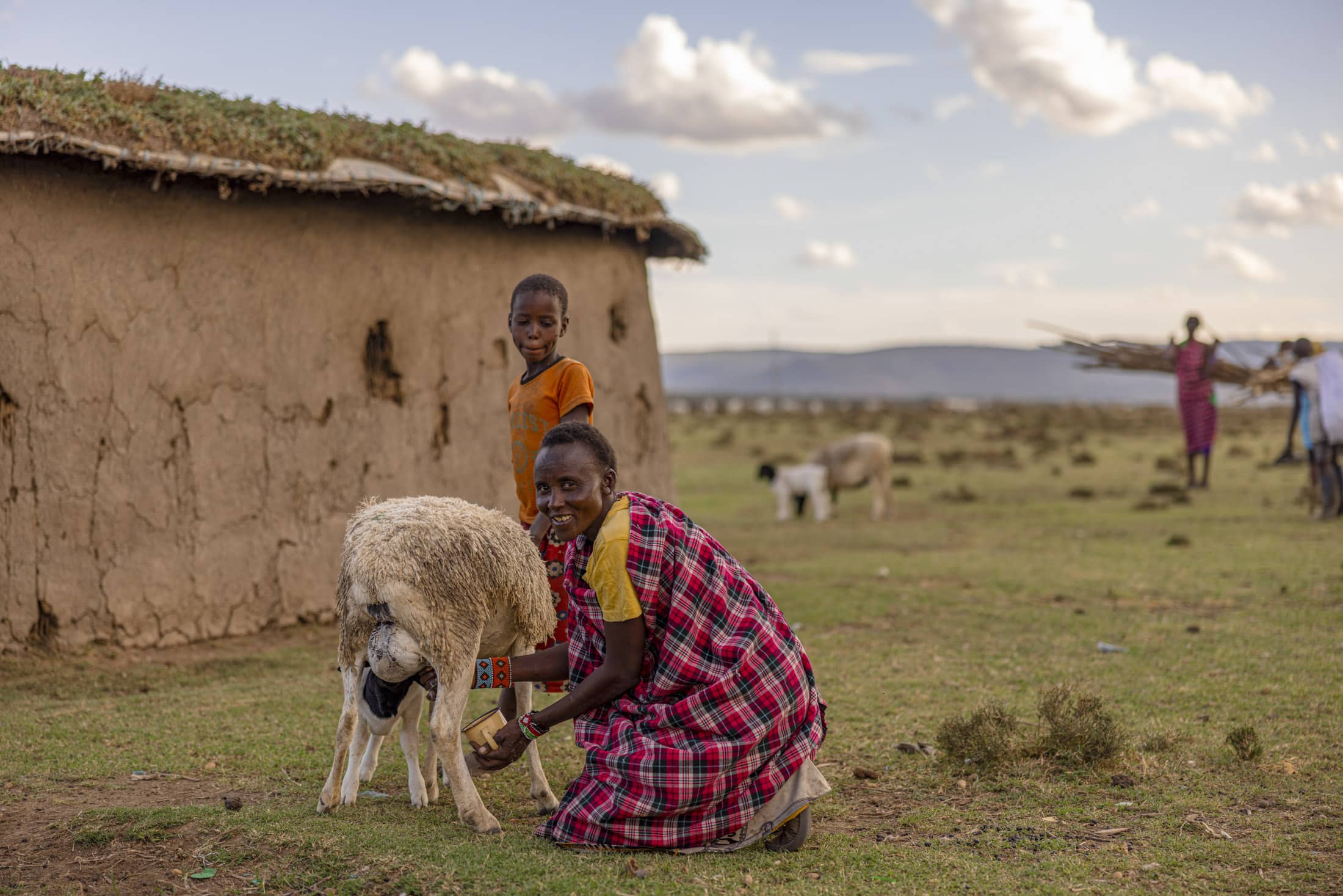 Eine Person in traditioneller Massai-Kleidung melkt ein Schaf und lächelt dabei in die Kamera. Ein Kind in einem orangefarbenen Hemd steht daneben und im Hintergrund trägt eine weitere Person Holz. Die Szene spielt in einer ländlichen Gegend mit einer Lehmhütte und grasenden Tieren. © Fotografie Tomas Rodriguez